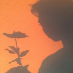 silhouettes's homestore V1