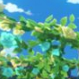 〻🎐: ̫ ̫