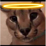 Floppa Worshipers