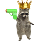 Raccoon gangsters