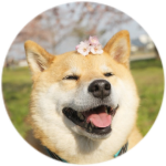 best doggo frends