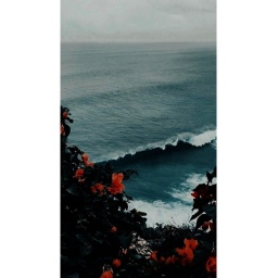 Aesthetic Hangout <3