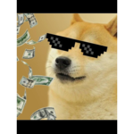Hanging with my doge bros