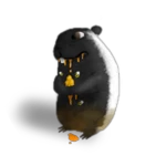 Badger Chomik