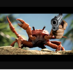 Crabby squad!