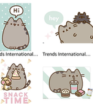 Pusheen grouPP
