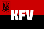 Kyiv Freedom Volunteers