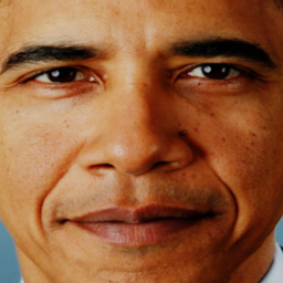 Obama Maze