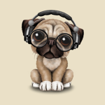 Pugs are my life