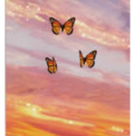 The Little Sunsets√