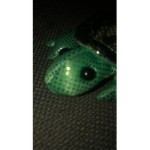 LettuceSpinach