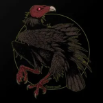 Floridian Vulture