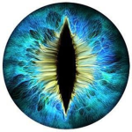 oeil cyclone