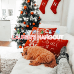 Laurens hangout