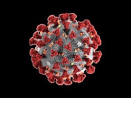 Escape virus obby