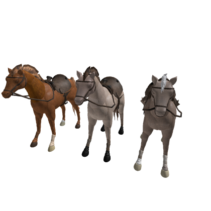 Horse