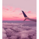 -ᴀᴇꜱᴛʜᴇᴛɪᴄ ᴠɪʙᴇꜱ-