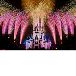 Disney Theme Park!