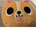 CORGI Studios!