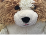 CorgiPuff