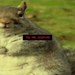 Dreamatching