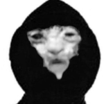 Puppy Plays Bloxburg!
