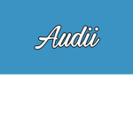 Audii Builders