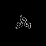 999 Club (non-official)