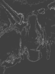 Black 'n' White Impatko