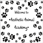 •Aesthetic Animal Academy•