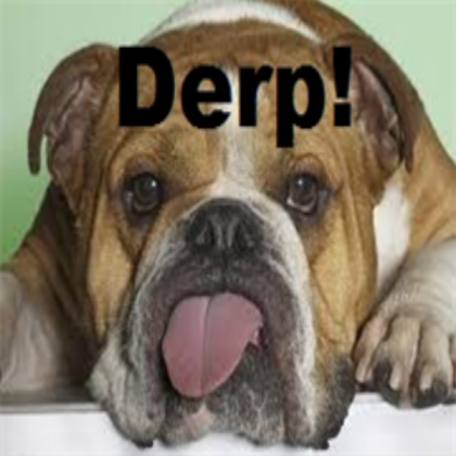 derp dog 1 Roblox decal