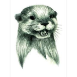 otterclan staff group