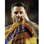 Tigresssss UANL