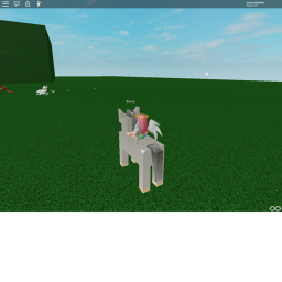 Horses