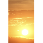 Super Sunshine Club