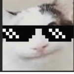 Beluga_Clan