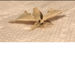•moth tribe•
