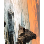 ###### browns birthday robux