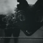 !!!FANGS!!!