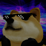 Doge's Epic Clothing