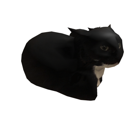 коты 