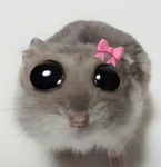 Gwenx <3