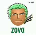 Grupo do zovo
