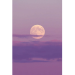 Lavender_Moons