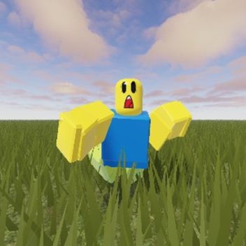 Ragdoll