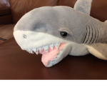 Shark beyond