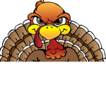 the very angry turkeys