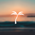 AirBermuda