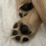 im kittymaxxing Group Thumbnail