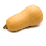 squashy